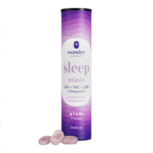 Buy Sleep 1:1:1 Plum Minis